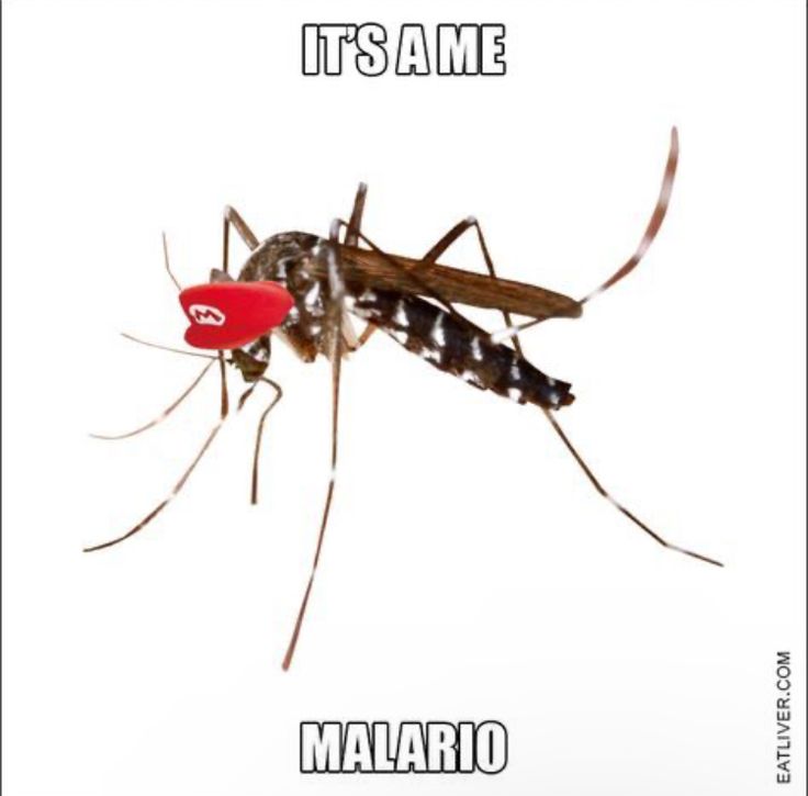 meme