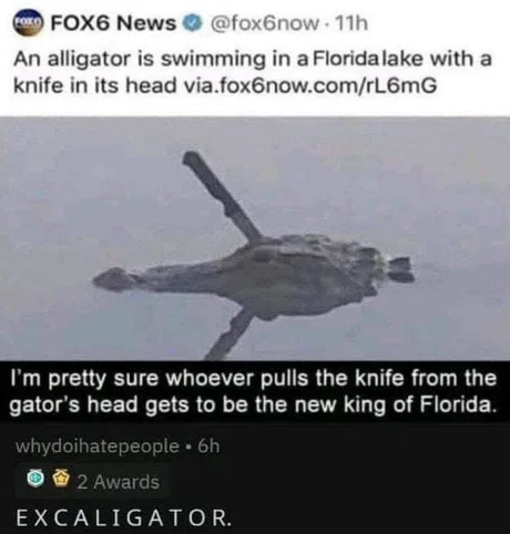 meme