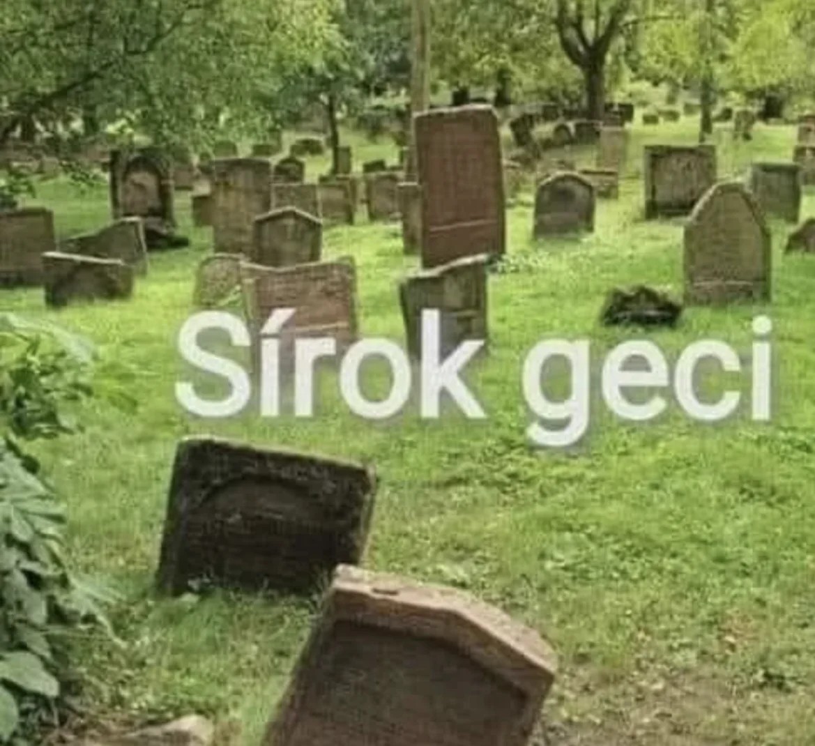 meme