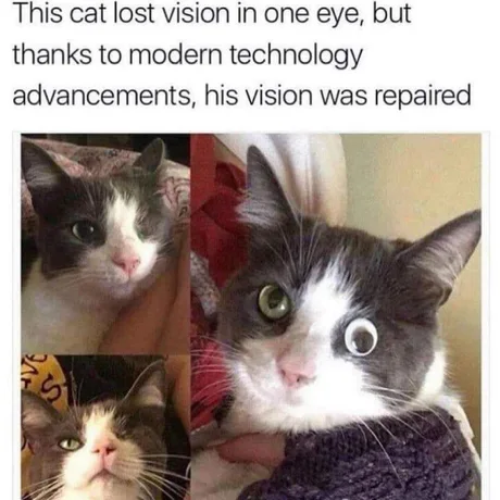 meme