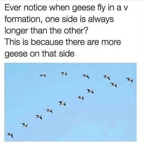 meme