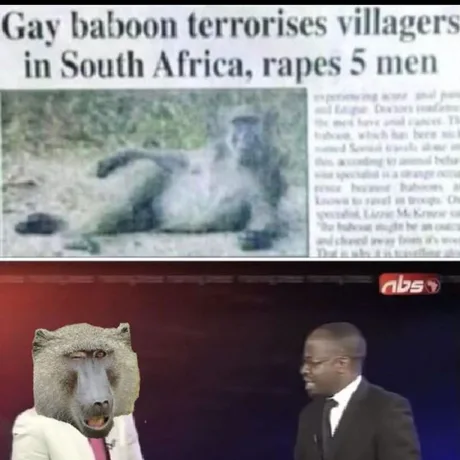 meme