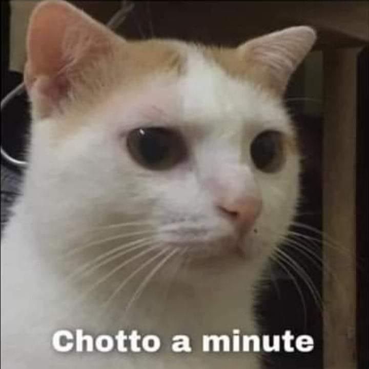 meme