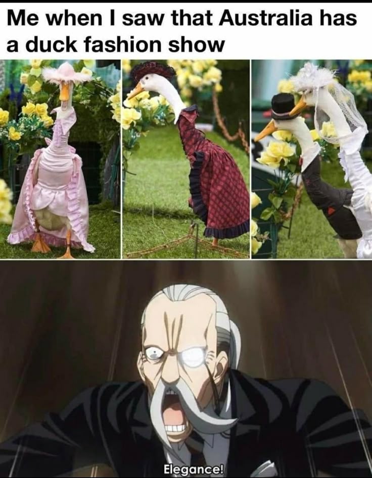 meme