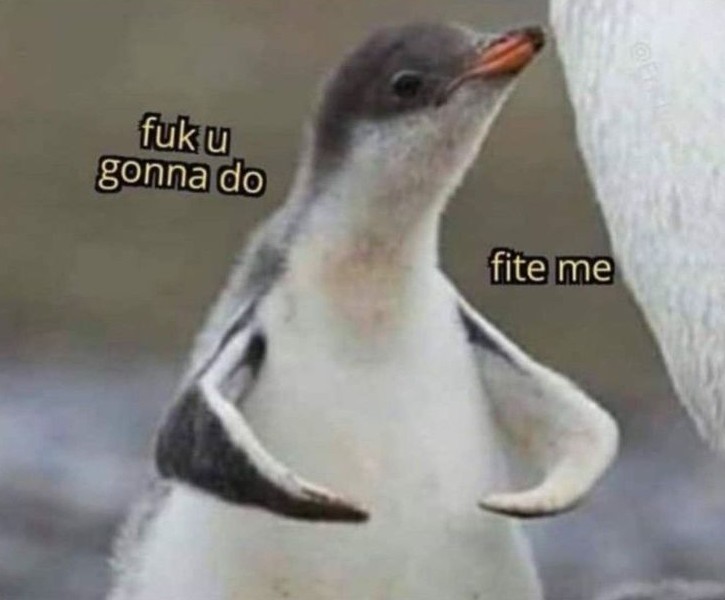 meme