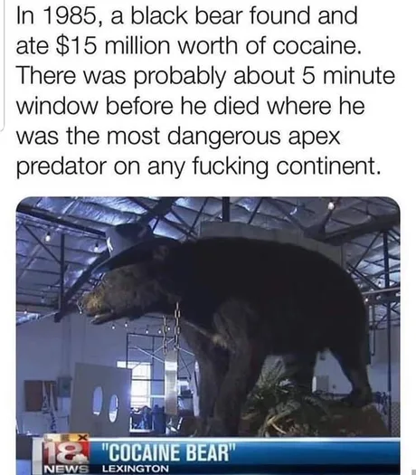 meme