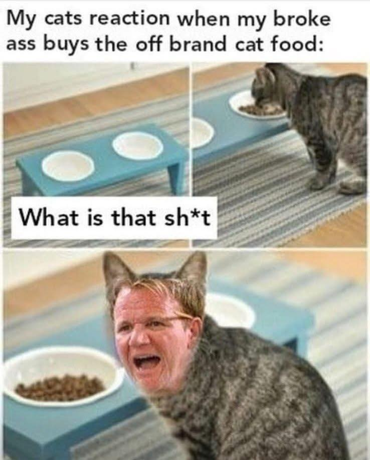 meme