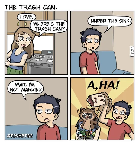 meme