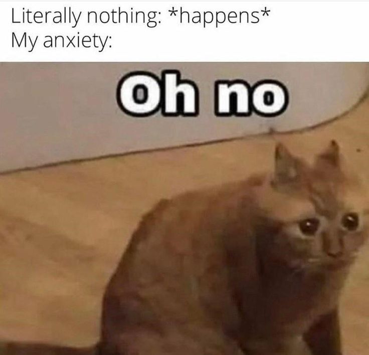 meme