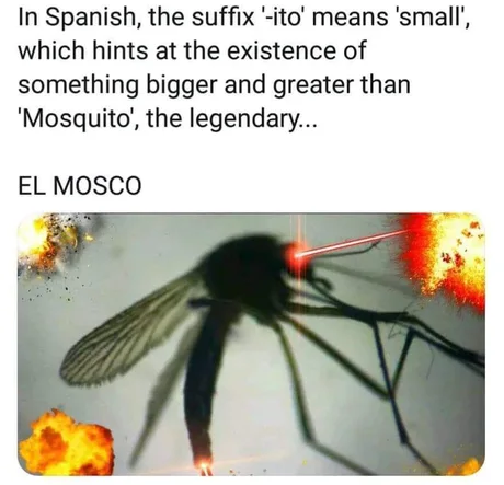 meme
