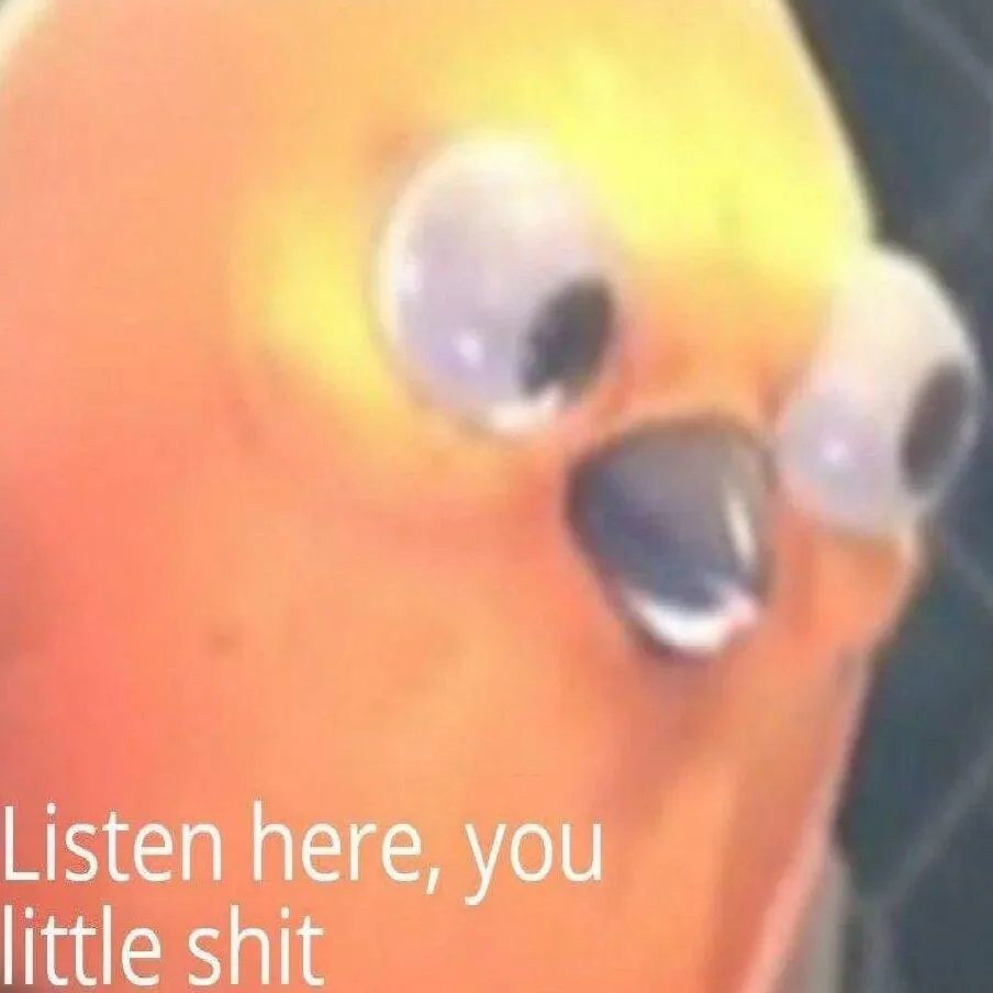 meme
