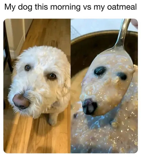 meme