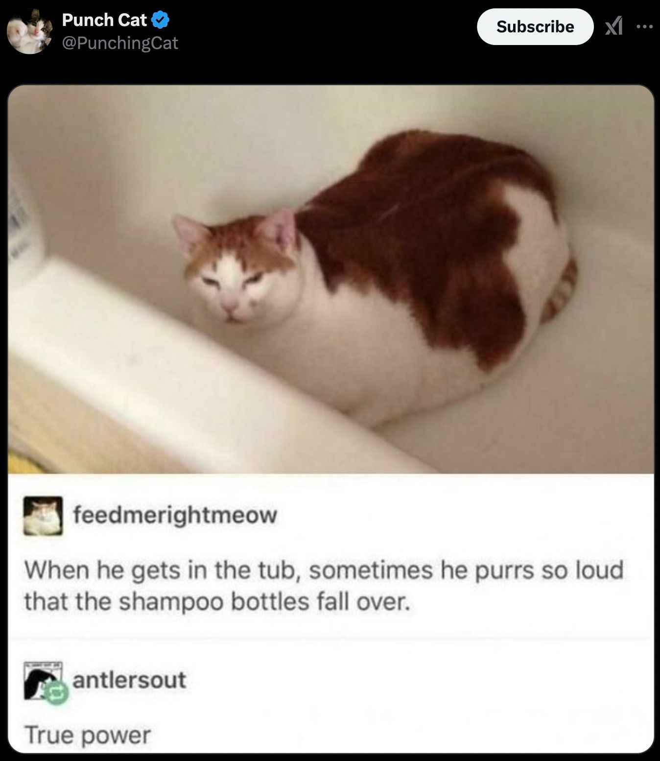 meme