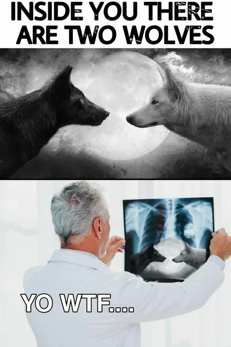 meme